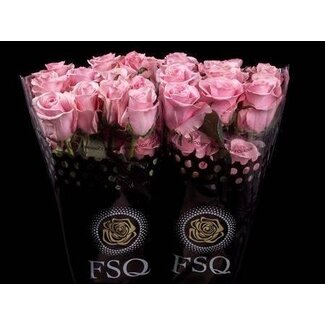 Freshy Rose à grandes fleurs “Think Pink” | Couleur: Rose | Longueur ± 50 centimètre | Origine Équateur | Par 20 roses