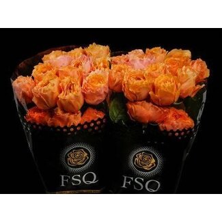 Freshy Großblütige Rose “Caraluna” | Farbe: Orange | Länge ± 50 centimeter | Herkunft Ecuador | Pro 24 Rosen