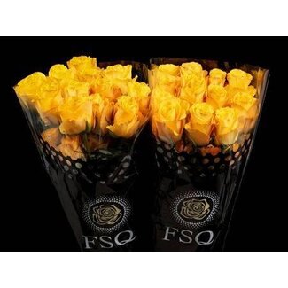 Freshy Rose grandiflore “Glitz” | Couleur: Jaune | Longueur ± 50 centimeter | Origine Équateur | Par 20 roses