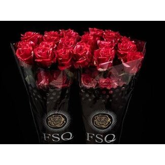 Freshy Rose à grandes fleurs “Pink Puma” | Couleur: Rose Rouge | Longueur ± 60 centimeter | Origine Ecuador | Par 20 roses