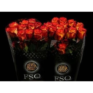 Freshy Großblütige Rose “High & Magic” | Farbe: Gelb Rot | Länge ± 50 centimeter | Herkunft Ecuador | Pro 20 Rosen