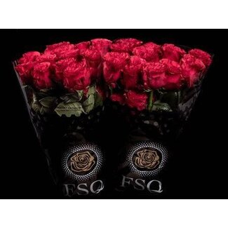 Freshy Großblütige Rose “Exotic Berry” | Farbe: Rosa | Länge ± 60 centimeter | Herkunft Ecuador | Pro 20 Rosen