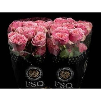 Freshy Rose à grandes fleurs “Sweet Eye” | Couleur: Rose | Longueur ± 50 centimeter | Origine Ecuador | Par 25 roses
