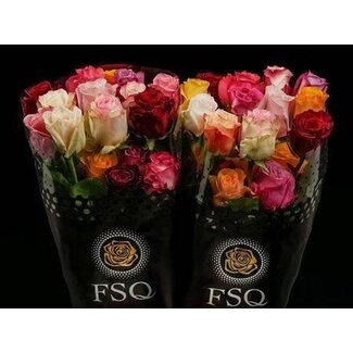 Freshy Large-flowered Rose “Seasons Mix” | Colour: Mixed Colours | Length ± 50 centimeter | Origin Ecuador | Per 20 roses