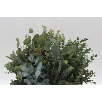 Freshy Eucalyptus Mix | Colour: Green | Length ± 50 centimetre | 150 gram per bunch | Per 5 bunches