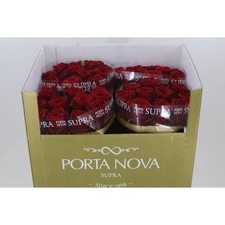 Freshy Rosen “Red Naomi Supra” | Farbe: Rot | Länge ± 70 centimeter | Pro 20 Rosen