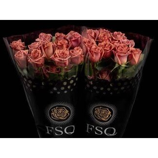 Freshy Rose à grandes fleurs “Barista” | Couleur: Rose | Longueur ± 50 centimeter | Origine Ecuador | Par 20 roses fraîches