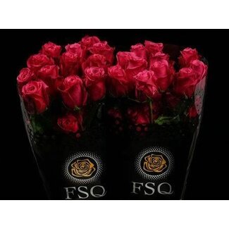 Freshy Großblumige Rose “Cherry O!” | Farbe: Rosa | Länge ± 40 centimeter | Herkunft Ecuador | Pro 20 frische Rosen