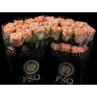 Freshy Rose à grandes fleurs “Happink” | Couleur: Pêche | Longueur ± 60 centimeter | Origine Équateur | Par 20 roses fraîches