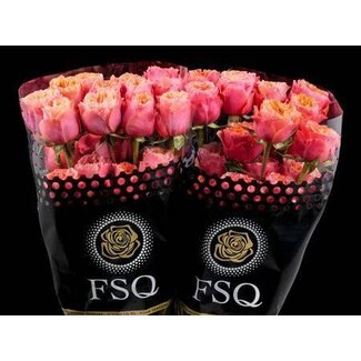 Freshy Rose à grandes fleurs “South Park” | Couleur: Orange Rose | Longueur ± 50 centimètres | Origine Équateur | Par 20 roses fraîches
