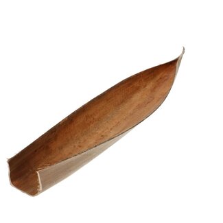 4A Droogdeco Kokosnoot Blad Bootvorm | Kleur: Bruin | Lengte 60 - 80 centimeter | Per blad