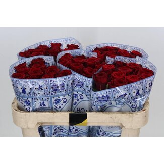 Freshy Roses “Red Naomi Hollanda” | Couleur: Rouge | Longueur ± 70 centimeter | Par 20 roses