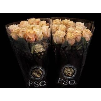 Freshy Rose à grandes fleurs “Champagner” | Couleur: Jaune Rose | Longueur ± 40 centimeter | Origine Équateur | Par 20 roses fraîches