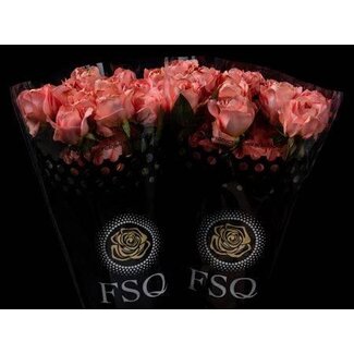 Freshy Großblütige Rose “Dragon Fly” | Farbe: Rosa | Länge ± 50 centimeter | Herkunft Ecuador | Pro 20 frische Rosen