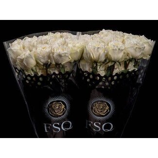 Freshy Rose à grandes fleurs “Gar Angelkiss” | Couleur: Blanc | Longueur ± 50 centimètre | Origine Équateur | Per 25 roses fraîches
