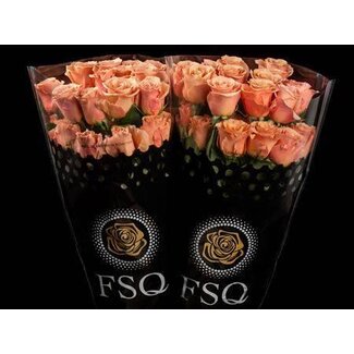 Freshy Rose à grandes fleurs “Moab” | Couleur: abricot | Longueur ± 60 centimeter | Origine Équateur | Par 25 roses fraîches