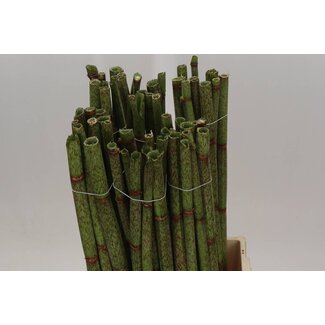 Freshy Polygonum 80cm