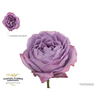 Freshy Rosa Garden Lavender Bouquet
