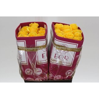 Freshy Large-flowered Rose “Momentum” | Colour: Yellow | Length ± 40 centimeter | Origin Ecuador | Per 25 fresh roses