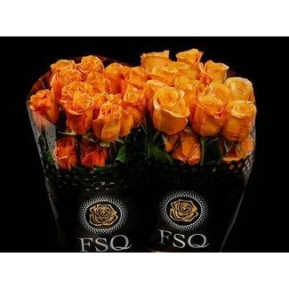 Freshy Großblütige Rose “Capriccio” | Farbe: Orange | Länge ± 60 centimeter | Herkunft Ecuador | Pro 20 frische Rosen
