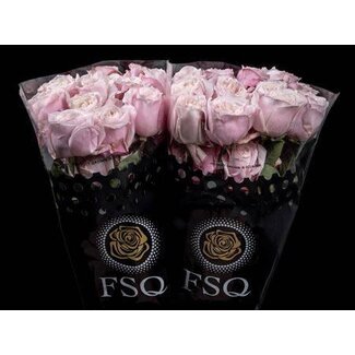 Freshy Rose grandiflore “Gar Yuyi Gardens” | Couleur: Couleurs mélangées | Longueur ± 40 centimeter | Origine Équateur | Par 20 roses fraîches