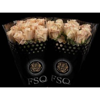 Freshy Rose grandiflore “Bone” | Couleur: Crème | Longueur ± 70 centimeter | Origine Équateur | Par 20 roses fraîches