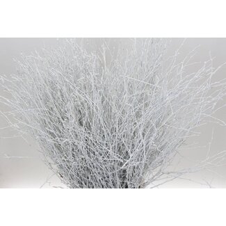Freshy Branches de bouleau Blanc | Couleur: Blanc | Longueur ± 60 centimètre | Par 5 branches