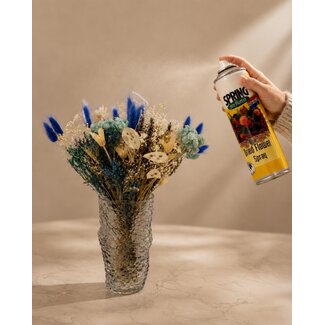 Dutch Dried Professionelles Spray für Trockenblumen | Sprühdose von 300 CC