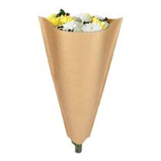 4A Kraft Hüllen | Farbe: Braun | Länge 60 centimeter | Breite 35 centimeter | Höhe 10 centimeter | Pro 50 Hüllen
