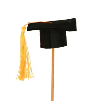 4A Bijsteker 50cm Graduate 6.5cm