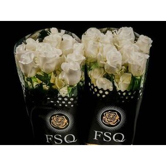 Freshy Roses “Akito” | Couleur: Blanc | Longueur ± 50 centimeter | Origine Ecuador | Par 20 roses
