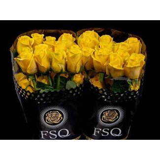 Freshy Roses “Goldfinch” | Colour: Yellow | Length ± 50 centimeter | Origin Ecuador | Per 20 roses