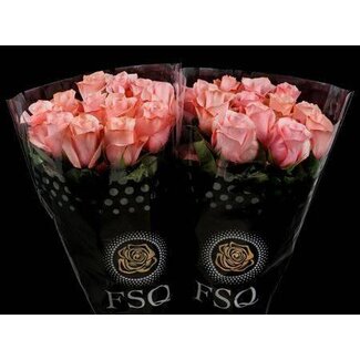Freshy Roses “Be Sweet” | Couleur: Rose | Longueur ± 50 centimeter | Origine Ecuador | Par 20 roses