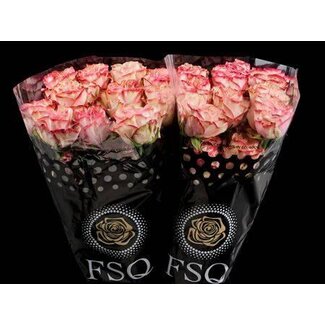 Freshy R Eq Country Candy