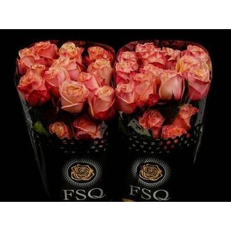 Freshy R Eq Lovely Hearts Xl