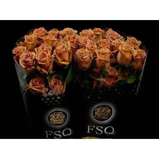 Freshy R Eq Toffee