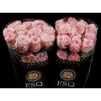Freshy R Eq Sweet 4 Love