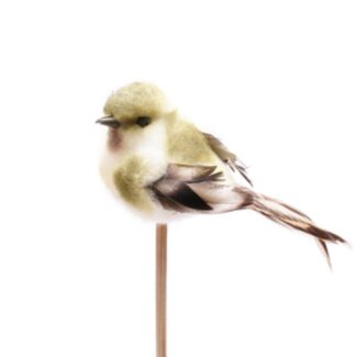 4A Vogel-Stecker “Tommy” | Farbe: Grün | Länge ± 50 centimeter | Breite Vogel ± 11 centimeter | Pro 25 Stecker