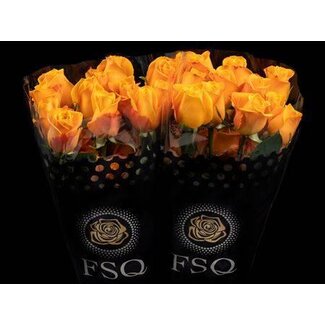 Freshy Rose à grandes fleurs “Aloha” | Couleur: Jaune | Longueur ± 60 centimètre | Origine Équateur | Par 20 roses fraîches