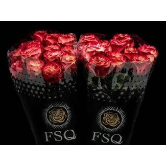 Freshy Rose à grandes fleurs “Apple Jack” | Couleur: Rouge | Longueur ± 50 centimeter | Origine Ecuador | Par 20 roses fraîches