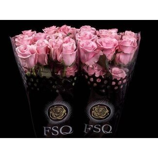 Freshy Rose à grandes fleurs “Think Pink” | Couleur: Rose | Longueur ± 50 centimeter | Origine Équateur | Par 20 roses fraîches