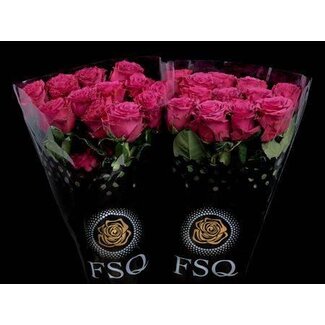 Freshy Grootbloemige Roos “Venturoso” | Kleur: Roze | Lengte ± 50 centimeter | Herkomst Ecuador | Per 20 verse rozen