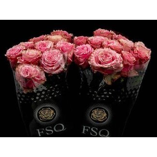 Freshy Large-flowered Rose “Wild Esperance” | Colour: Pink | Length ± 50 centimeter | Origin Ecuador | Per 20 fresh roses