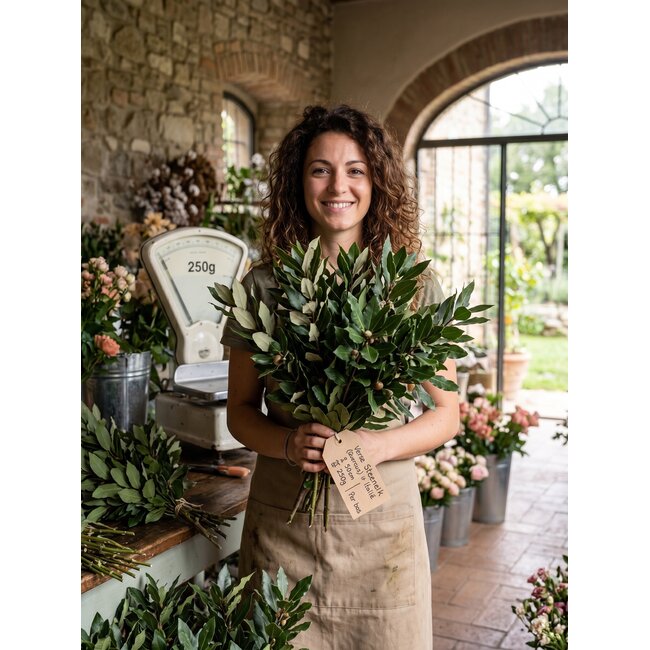 Verse Steeneik (Quercus) uit Italië | ↕ 50cm | ⚖ 250g | Per bos