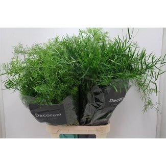 Freshy Spargel Gemischt | Farbe: Grün | Länge ± 85 centimeter | Pro 50 Zweige