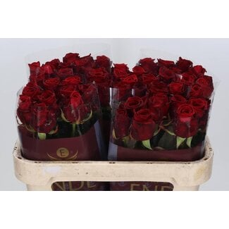 Freshy Roses “Red Naomi Ende” | Colour: Red | Length ± 70 centimeter | Per 20 roses