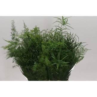 Freshy Asperge Mélangée en botte | Couleur: Groen | Longueur ± 65 centimeter | Par 50 tiges