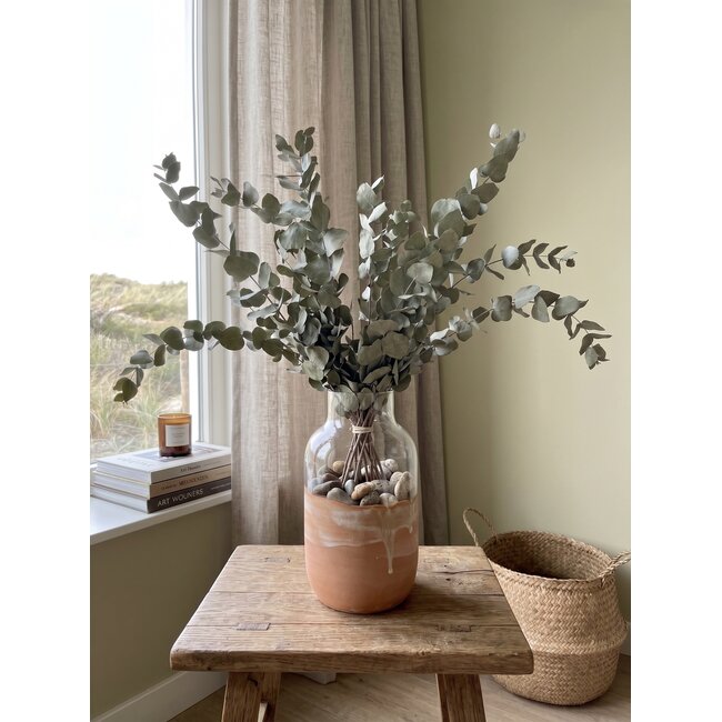 Natürliche grüne Eukalyptus Cinerea Trockenblumen | Länge ± 70 Zentimeter | Gewicht ± 150 Gramm