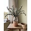 Natürliche grüne Eukalyptus Cinerea Trockenblumen | Länge ± 70 Zentimeter | Gewicht ± 150 Gramm