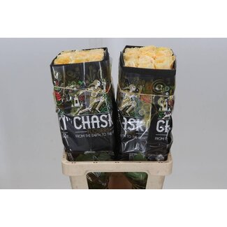 Freshy Large-flowered Rose “Crystal Flame” | Colour: Yellow | Length ± 60 centimeter | Origin Ecuador | Per 25 fresh roses